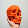 Coral Encrusted Skull 3D Printed Image 3