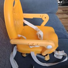 Chicco booster seat