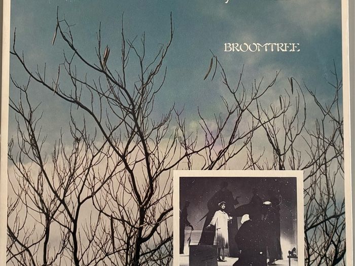 Downy Mildew - Broomtree. Debut album from California band. US Pressing. Lp is mint. Band details below. Bargain!