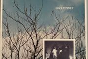 Downy Mildew - Broomtree. Debut album from California band. US Pressing. Lp is mint. Band details below. Bargain!