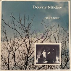 Downy Mildew - Broomtree. Debut album from California band. US Pressing. Lp is mint. Band details below. Bargain!