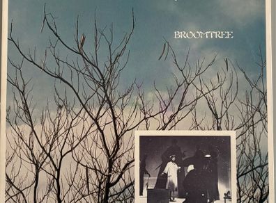 Downy Mildew - Broomtree. Debut album from California band. US Pressing. Lp is mint. Band details below. Bargain!