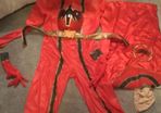 power ranger adult costume