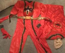power ranger adult costume