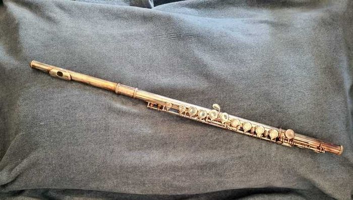 Trevor James Privilege Flute - Silver includes Case and bag
