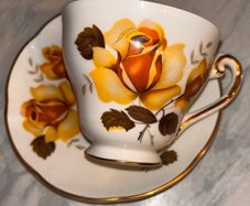 Royal Tara Fine Bone China