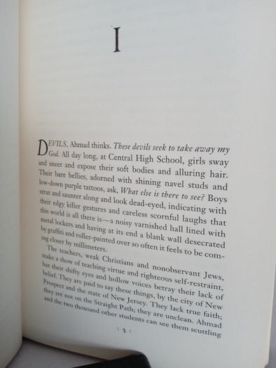 Terrorist by John Updike (HQ635)
