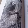 Peig biography hardback, 1976, D18 post 7e Image 5