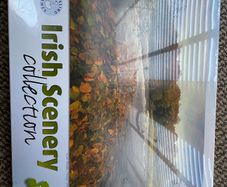 Gosling games Irish scenery collection jigzaw