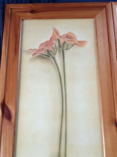 Beautiful Set of 2 Large Flower Pictures