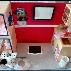 our generation vet set