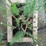 flower pot Image 2