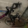 carrera woman's bike Image 2