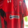 Wales Under Armour Rugby jersey Image 2