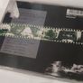 The Charlatans - I Never Want an Easy Life Cd Image 3