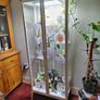 DIY Glasshouse Milsbo + lighting + Accessories Image 2