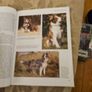 Training Border Collies. By Barbara Sykes's Large Volume Paperback In Good Condition.  See Photos For Same. Image 10