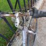 Raleigh bike Image 3