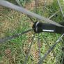 Sram S60 Road Bike Wheelset Gorey Town Image 7