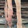 Timber,solid wood slabs,planks,live edge Image 5