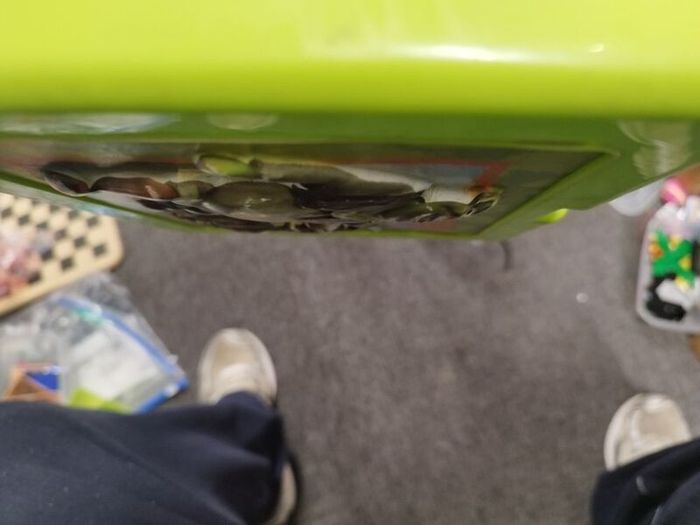 Retro Shrek lunchbox