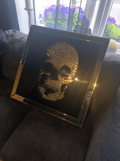 Skull glass picture x2