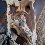 King descrying device by MD Image 10