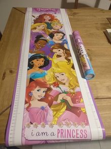 Disney princess wall height chart