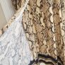 H&M python print midi Sz 8UK (Fit 8 to 10UK) Image 5