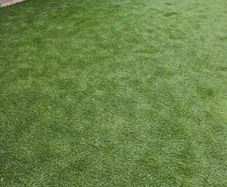 Sanctuary Loco 30mm artifical grass