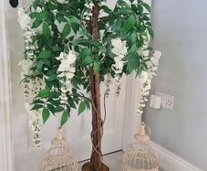 Trees and Birdcages Set to Rent