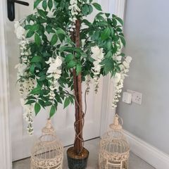 Trees and Birdcages Set to Rent