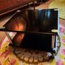 Mid Century Coffee table Image 6
