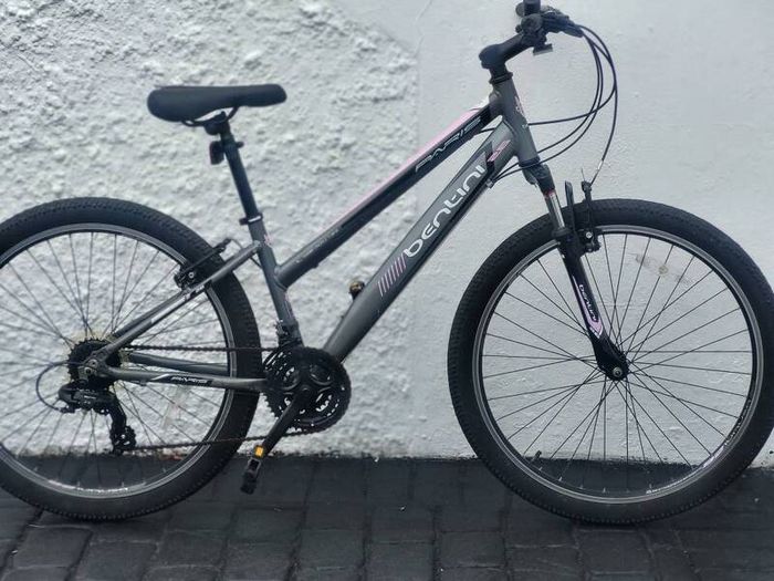 Bentini Female Bike Used In Working Order