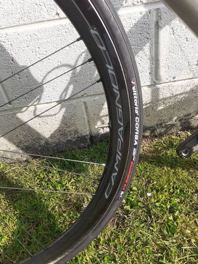 Campagnola Shamal Disc Brake Wheelset fitted with Vittoria Corsa Graphene 2.0 Tyres and Tubes, have Ridden 100kmh Total