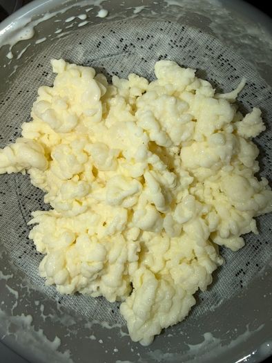 Milk kefir grains (15 grams)