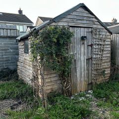 Free old shed