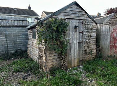Free old shed
