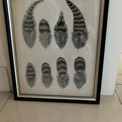 Helen Turkington Picture