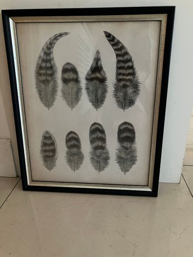 Helen Turkington Black Framed Picture