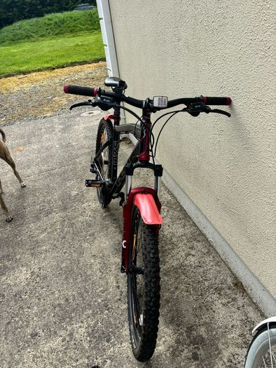 Mens Bike