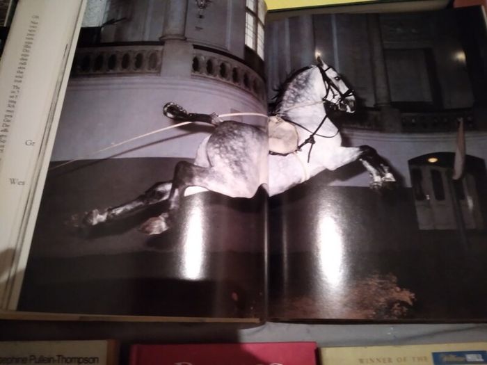 Horse / Equestrian Books