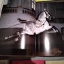 Horse / Equestrian Books Image 10