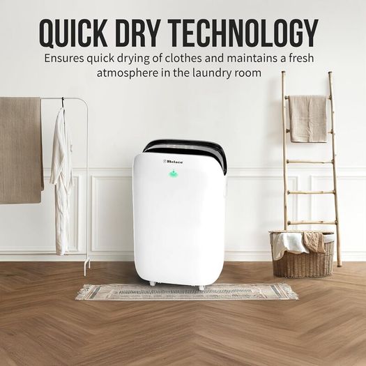 20L Dehumidifier for Home & Basement, Energy Efficient Moisture Removal, Digital Humidity Control, Laundry Drying Mode, Quiet Operation, Continuous Drain