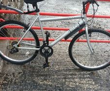 Mans Bike