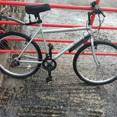 Mans Bike