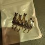 Collection of brooches new 10e each Image 6