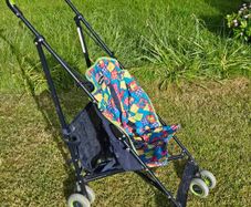 Buggy
