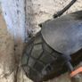 KUKIRIN G2PRO 2024 motor broken, selling for parts Image 5