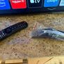 LG 50" Nanocell Smart TV Image 3